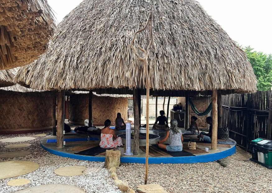 Experiencia: Despierta
