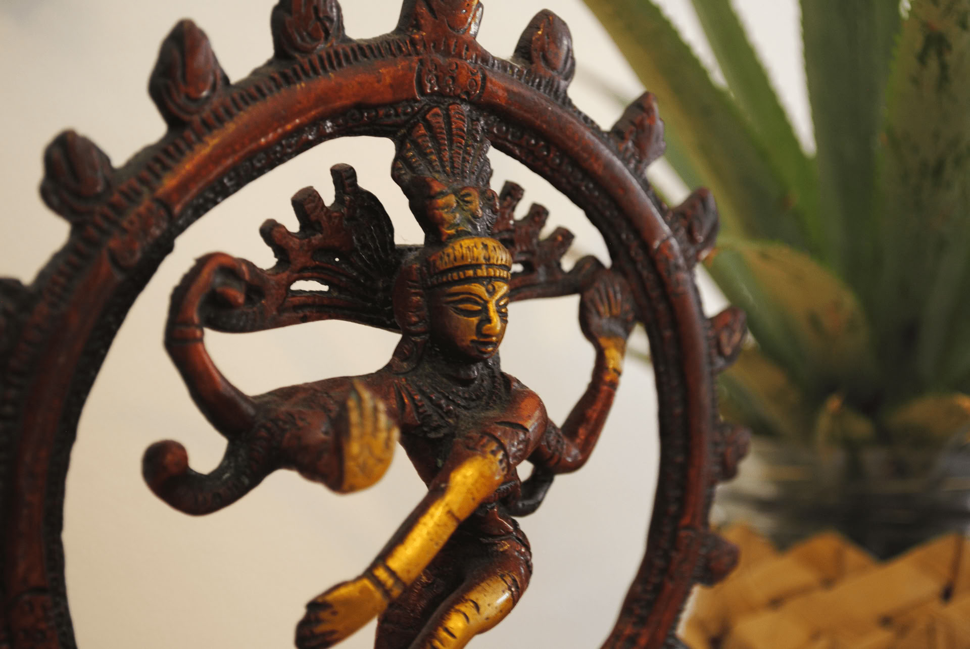 Retiro Sahrdaya Yoga