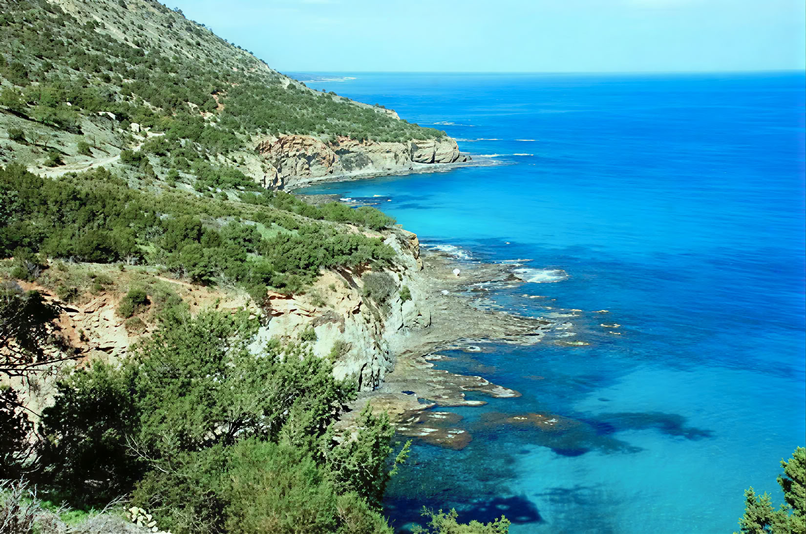 Cyprus Body Reset & Renew Retiro