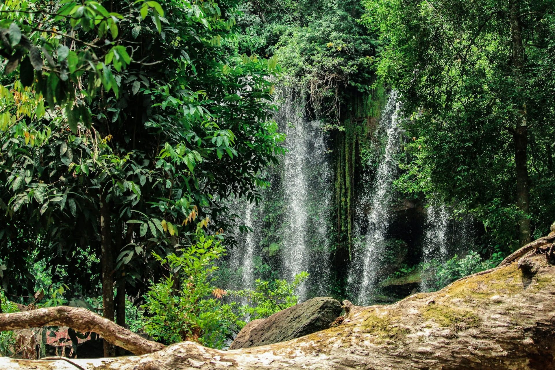 Camboya -Templos, Ciclismo, Cascadas, Senderismo y Aventura en Kayak