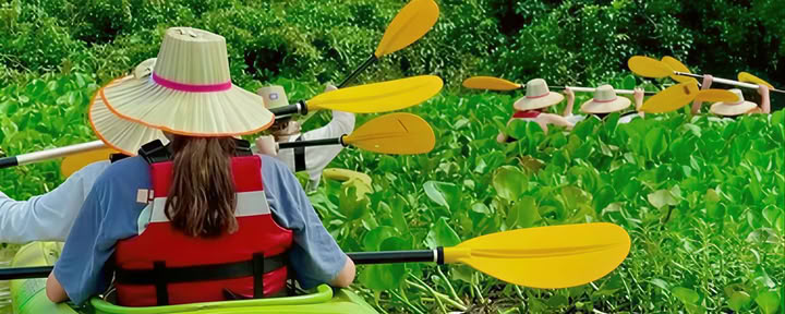 Camboya -Templos, Ciclismo, Cascadas, Senderismo y Aventura en Kayak