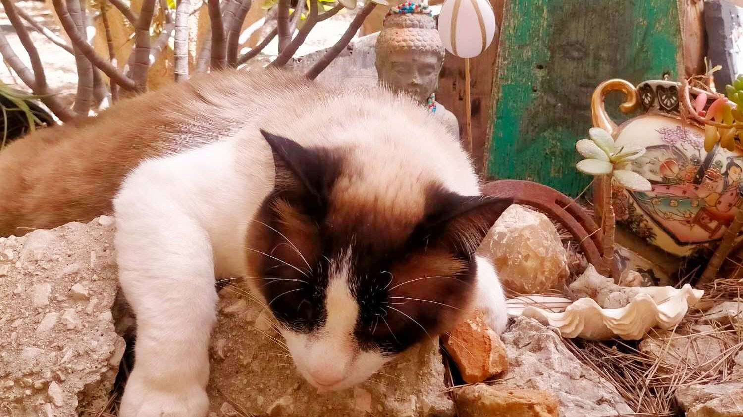 5 días para descansar y reconectar Retiro