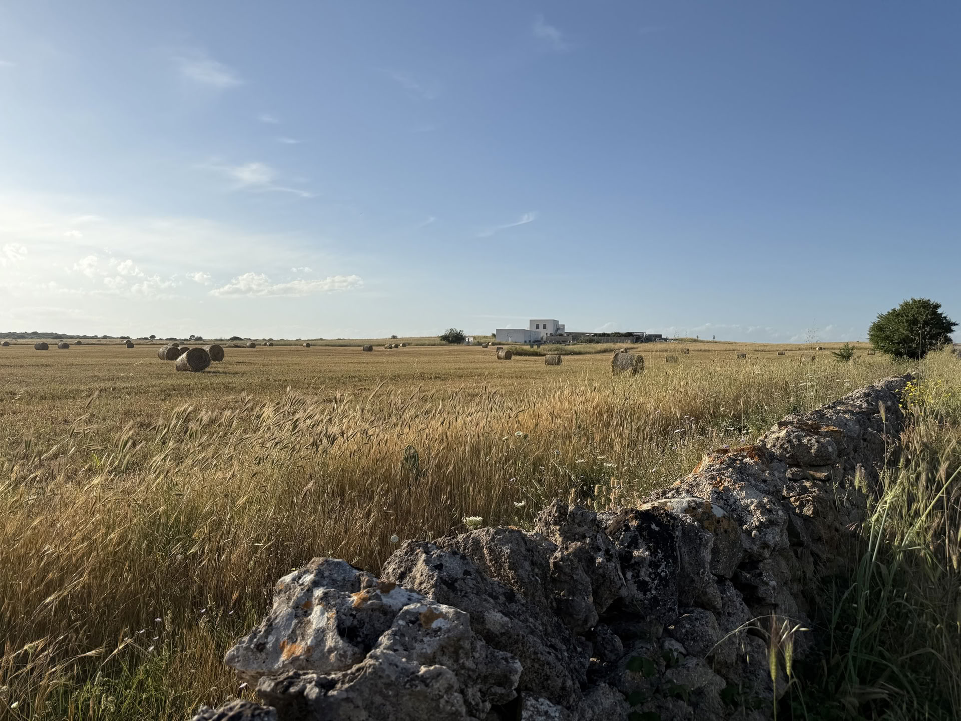 Conversations with Place: Una residencia creativa en Masseria Specula