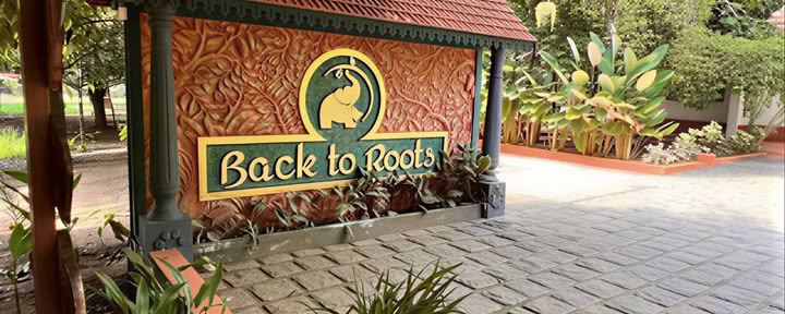 14 noches de desintoxicación en Back to Roots Ayurveda
