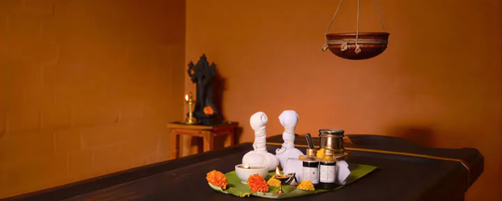 28 días de tratamiento Panchakarma en Vaidyagrama — Coimbatore