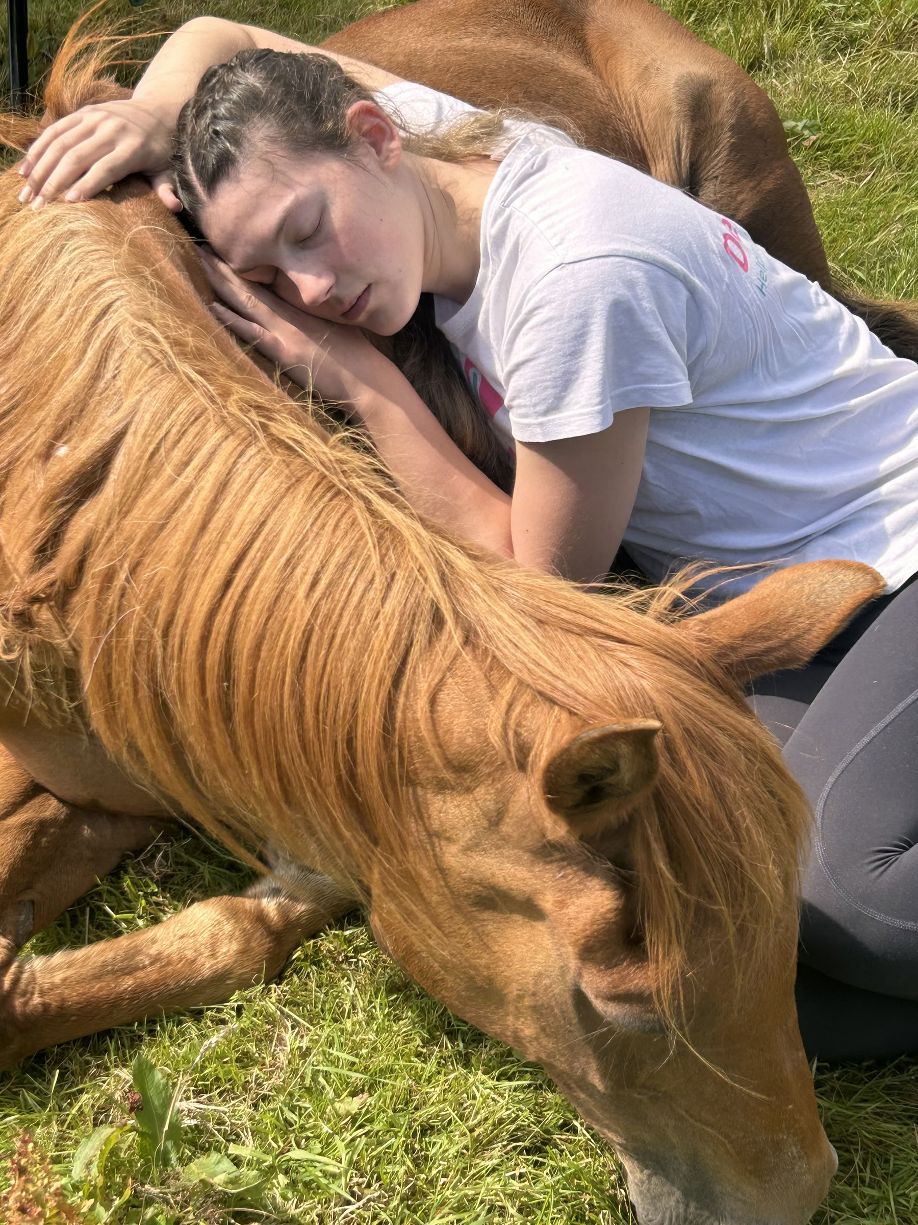 Sanación Silenciosa con Caballos – 27 Sep - 2 Oct