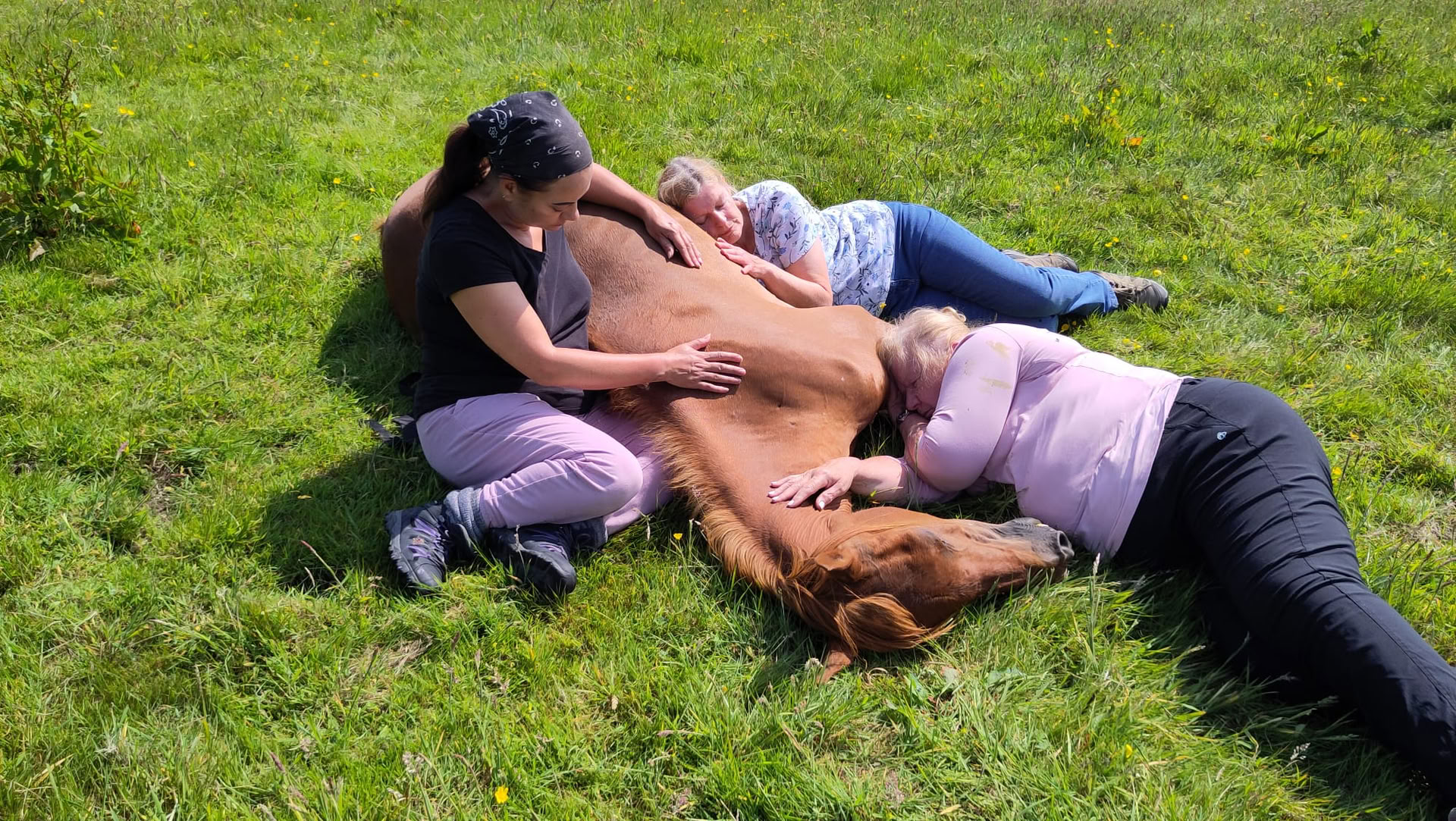 Sanación Silenciosa con Caballos – 27 Sep - 2 Oct
