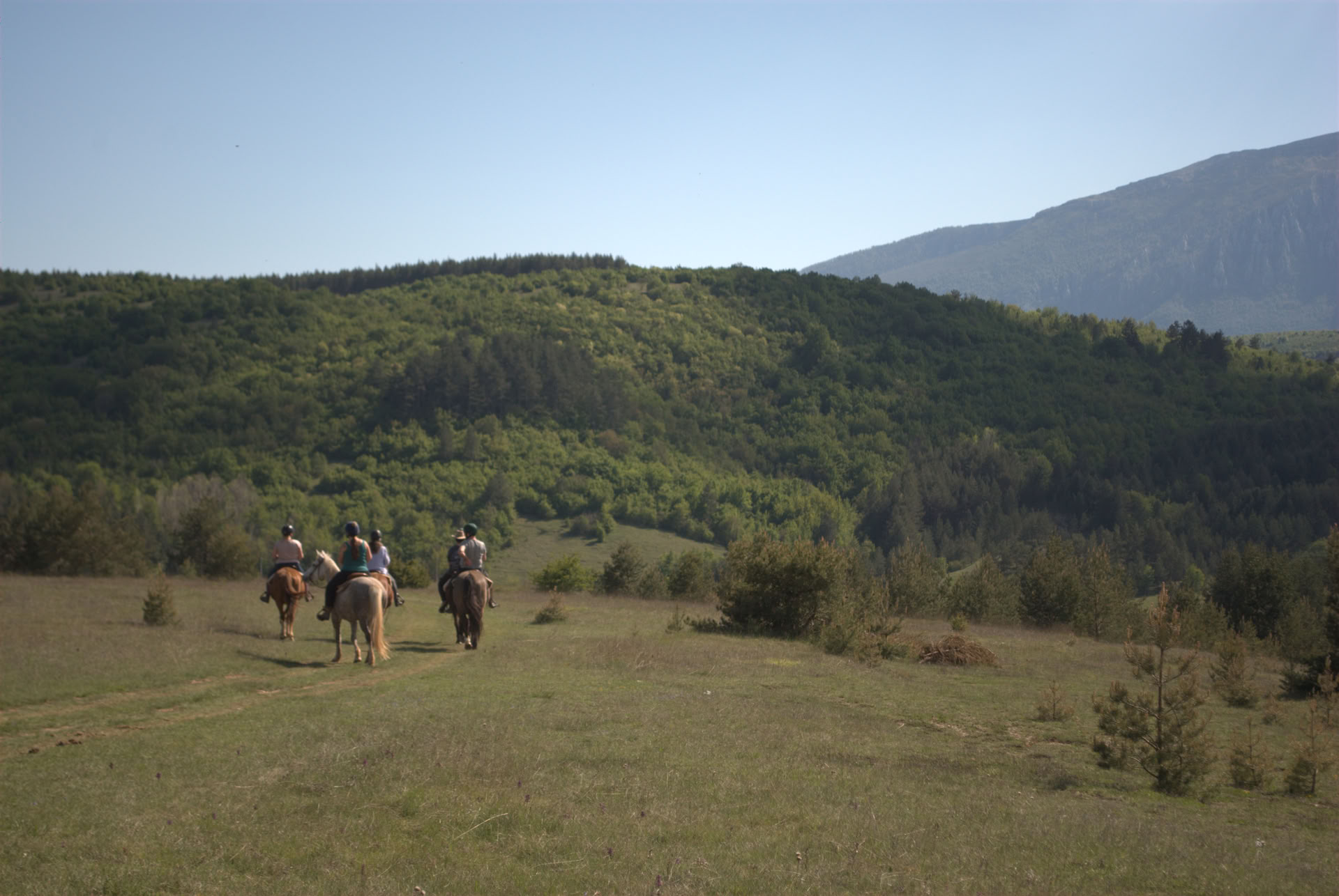 Curación a caballo | Bosnia 18 - 23 de octubre