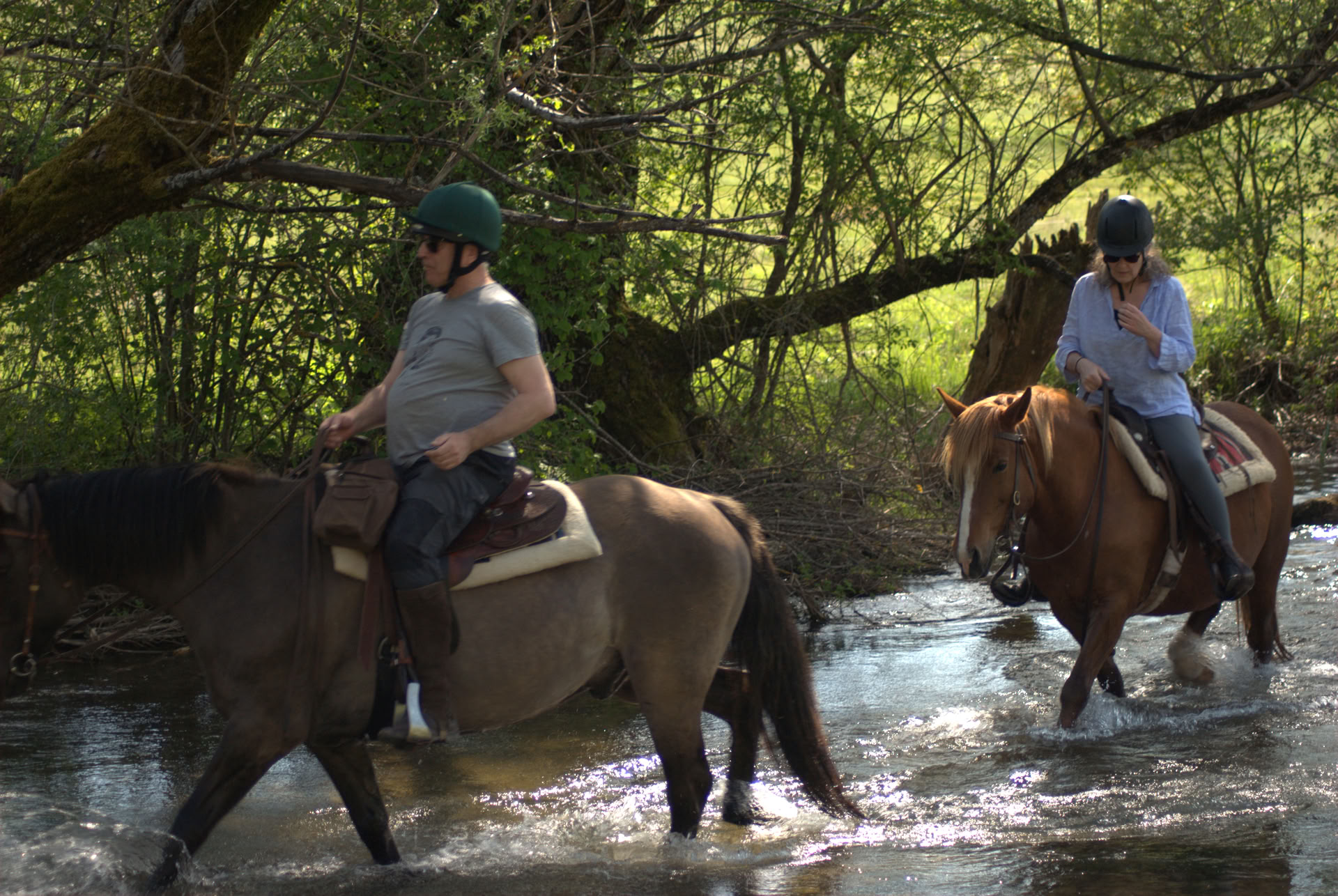 Curación a caballo | Bosnia 18 - 23 de octubre