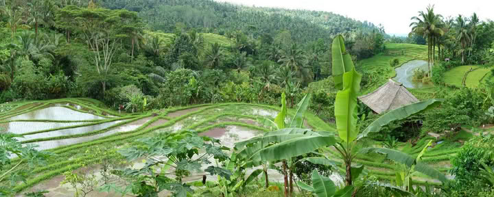 Oferta única en Bali
