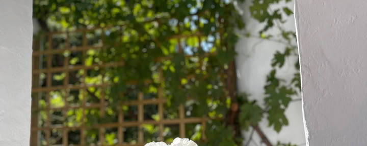 Private — Villa Esencia Retiros
