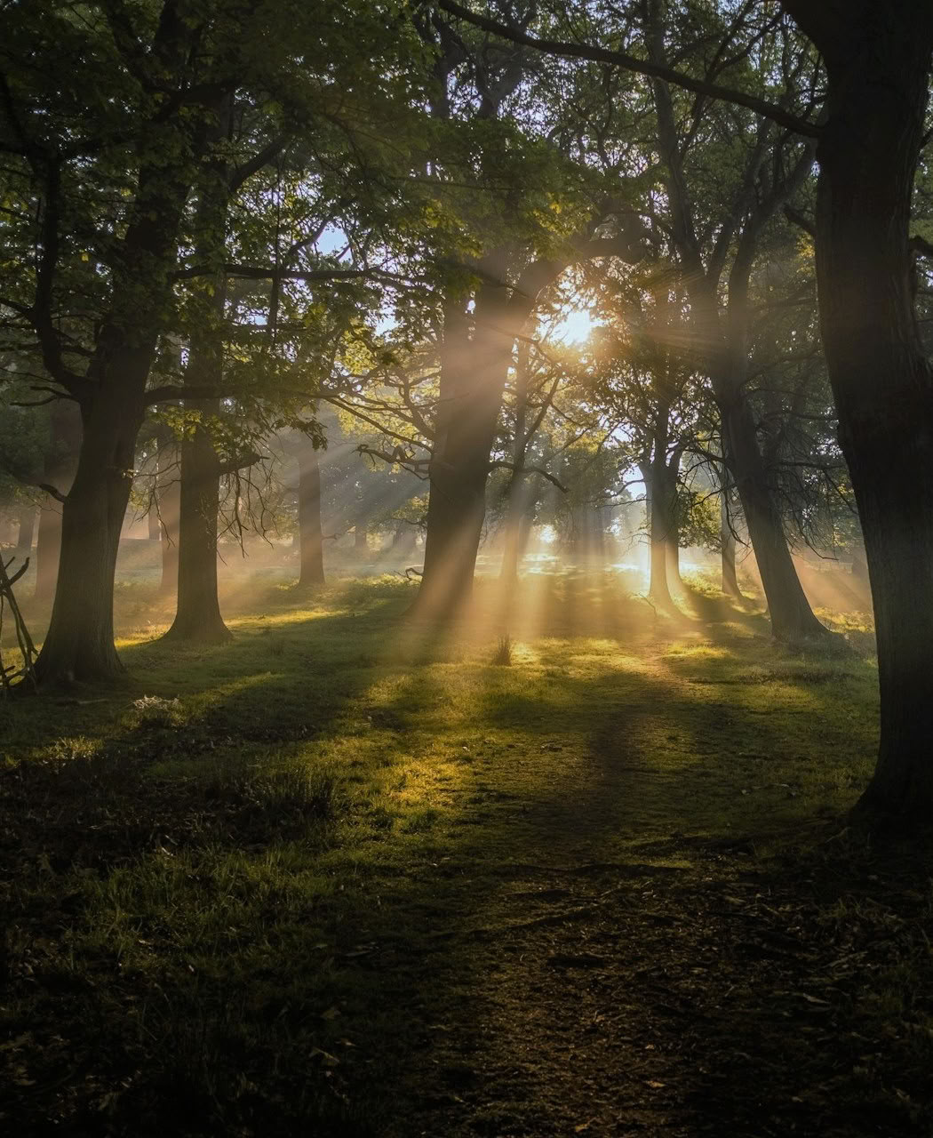Breathwork Retiro: Breathe and Begin