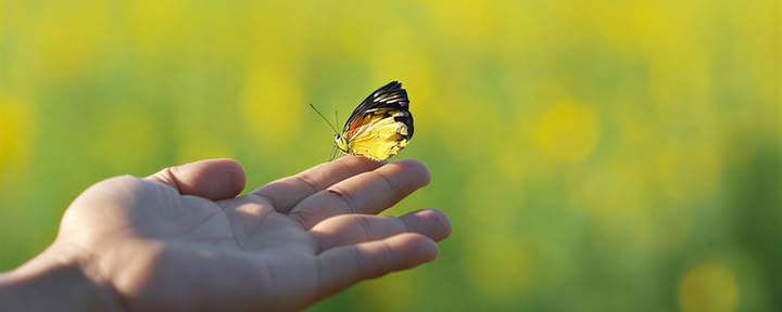 Sanación del trauma con respiración consciente