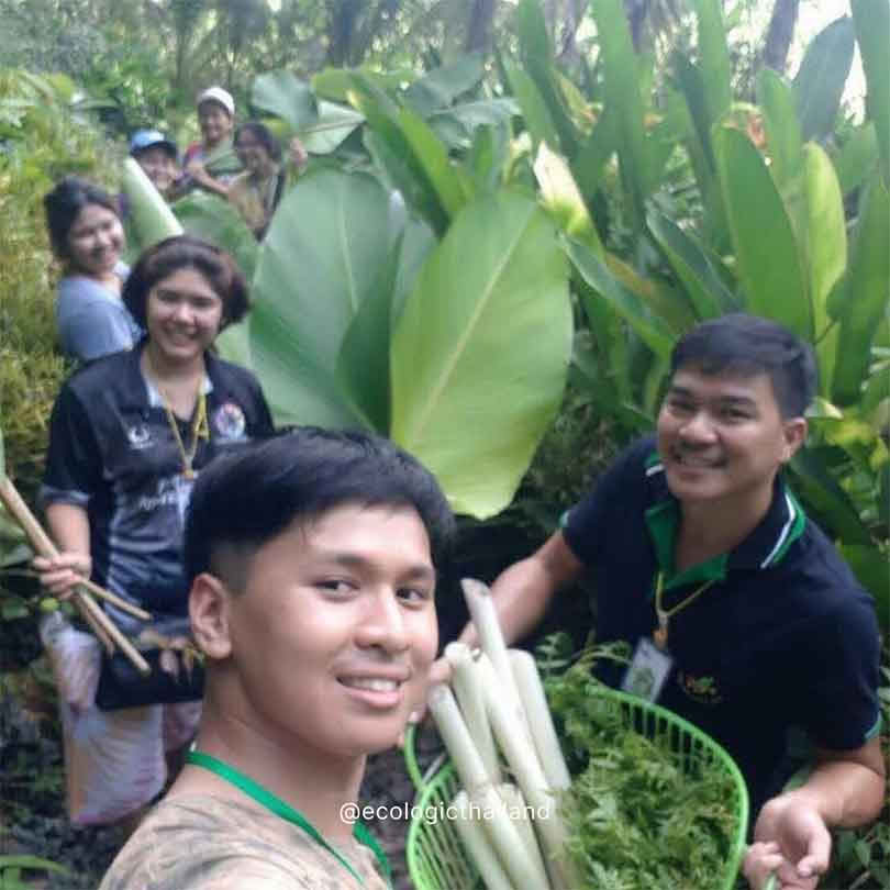 Proyecto de Bosque Comestible y Karma Yoga