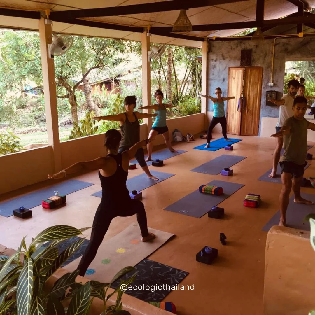Paquete vacacional De la Jungla al Mar