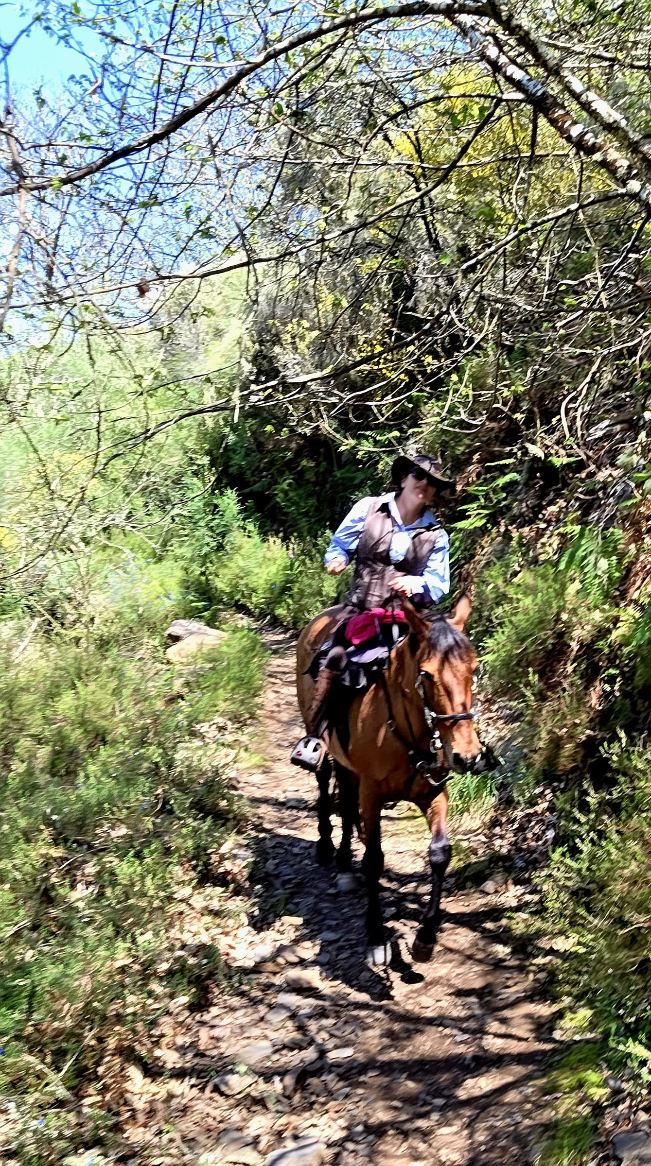Trekking del Eclipse en el Camino