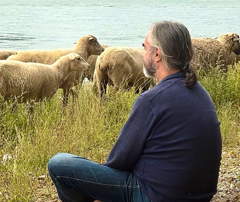 Días de Mindfulness