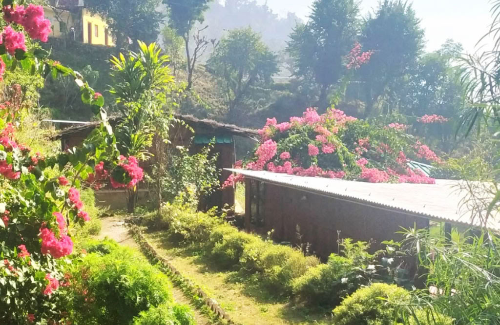 100 Horas de Formación de Profesores de Yoga en Rishikesh