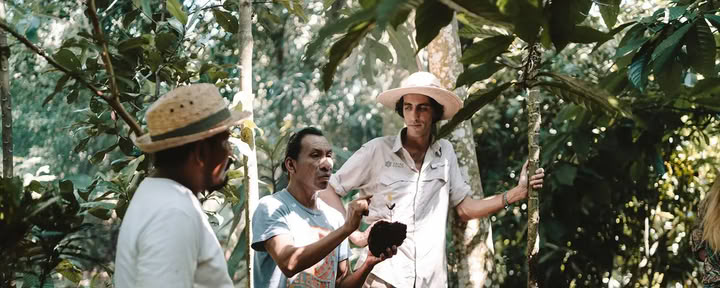 Programa de formación Cacao Source