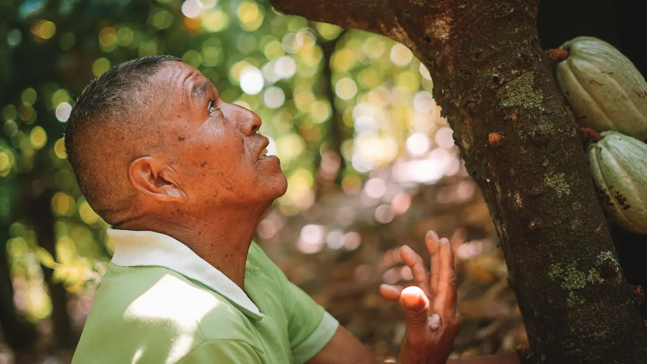 Cacao Espacio Sagrado