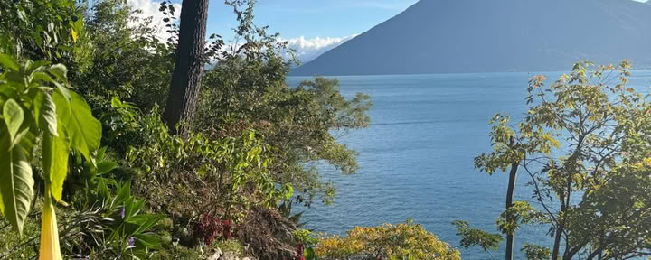7-Day Retiro de bienestar