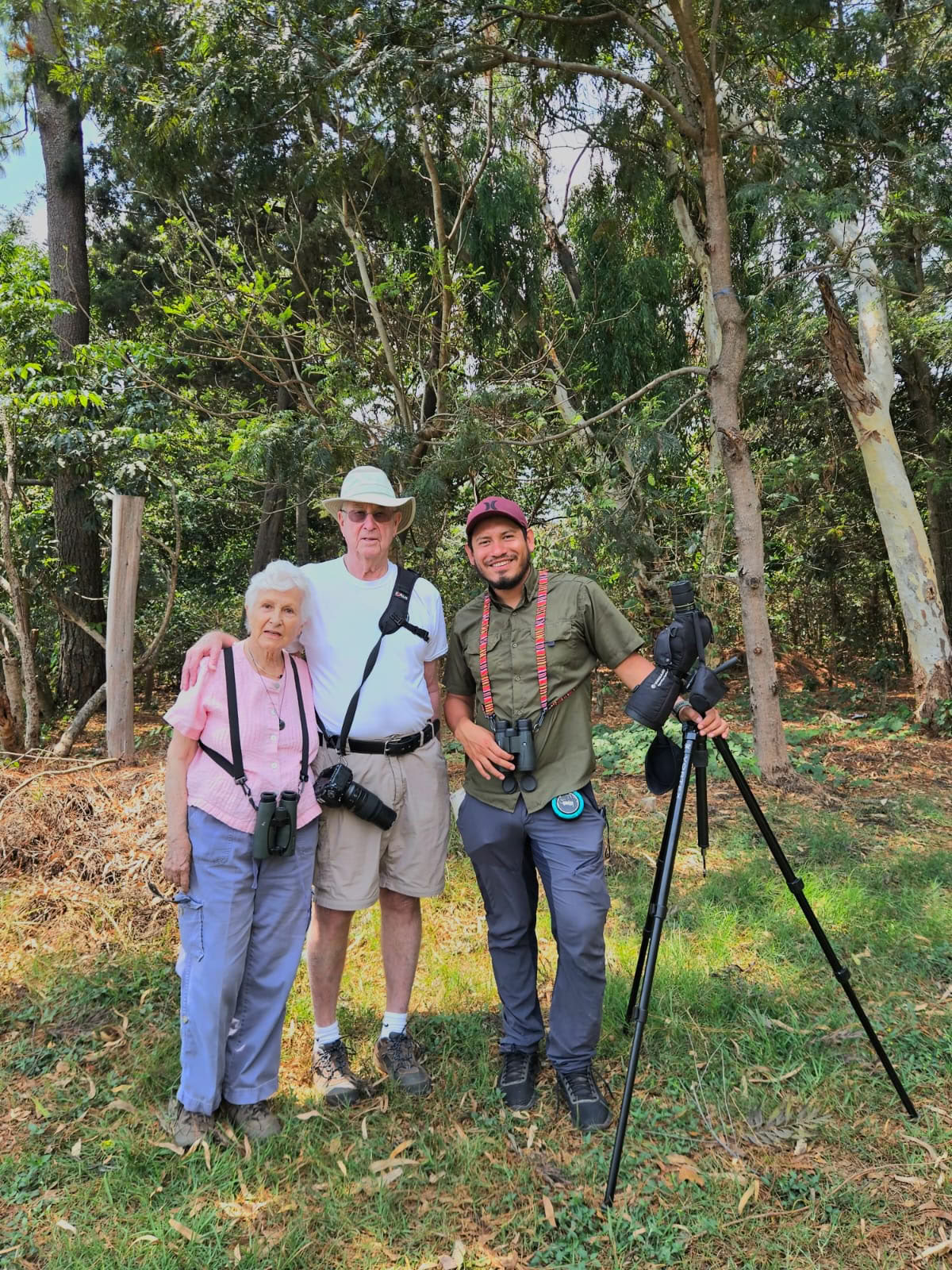 Tours de observación de aves