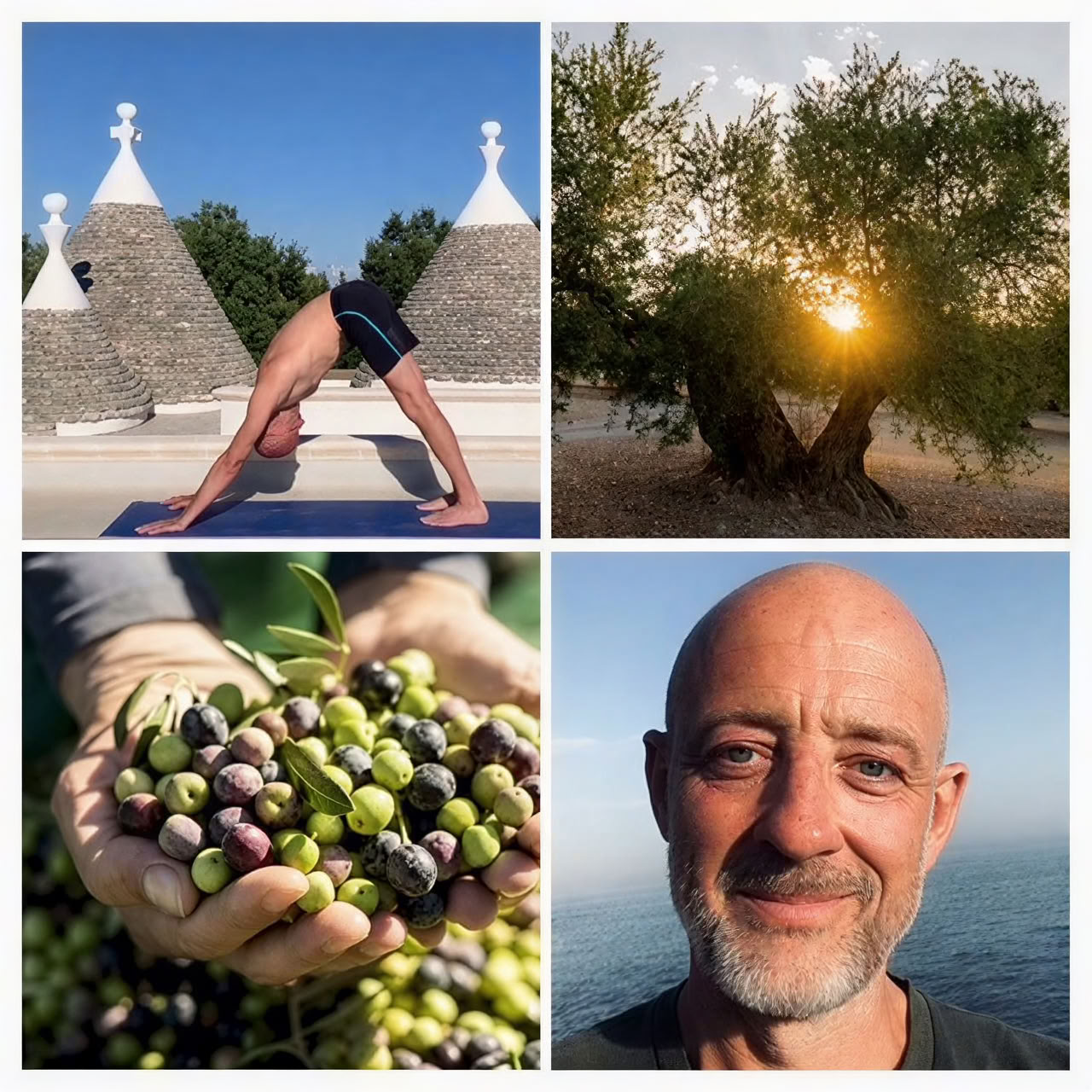 Retiro de Yoga y Cosecha de Olivas