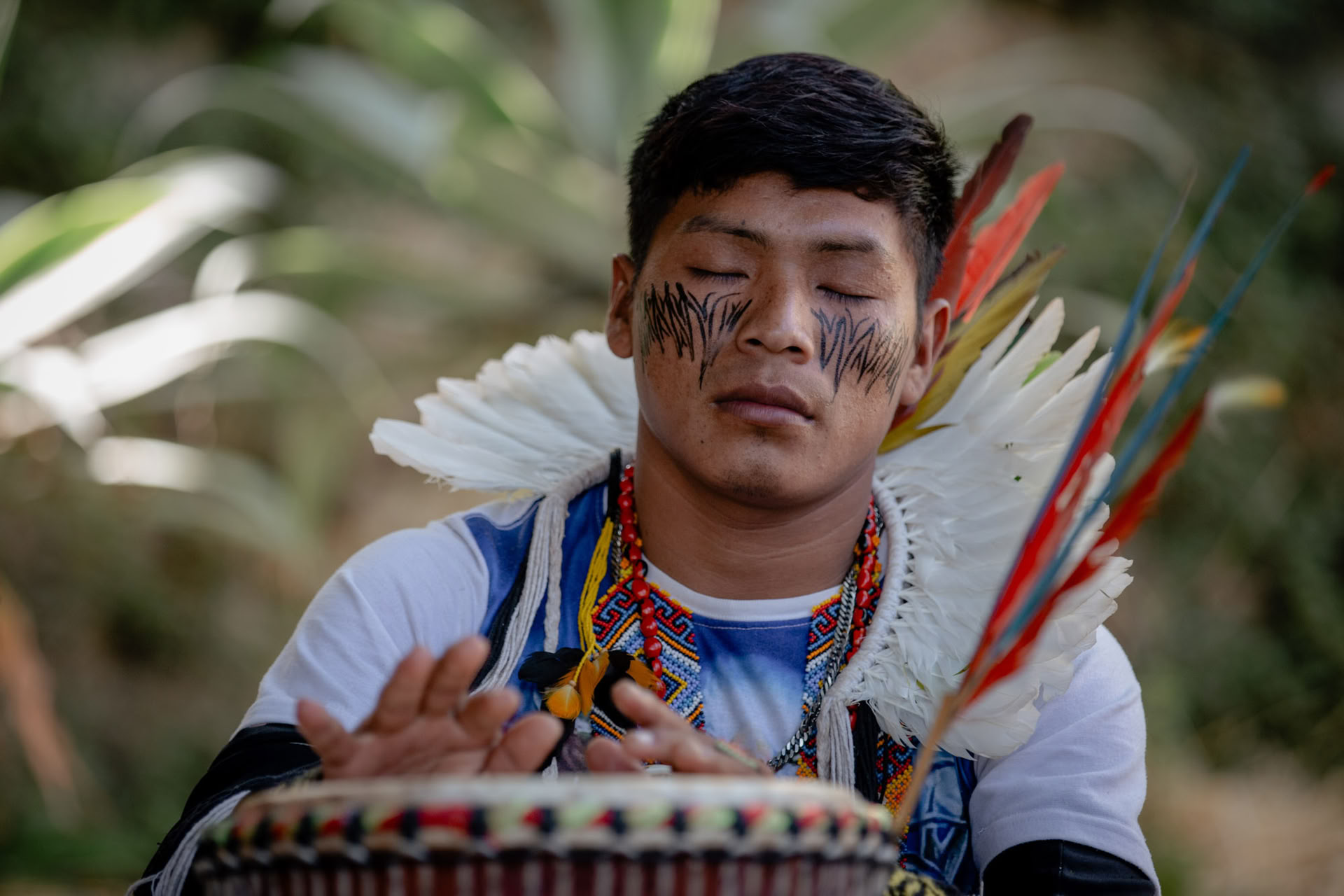 Ceremonias de Ayahuasca