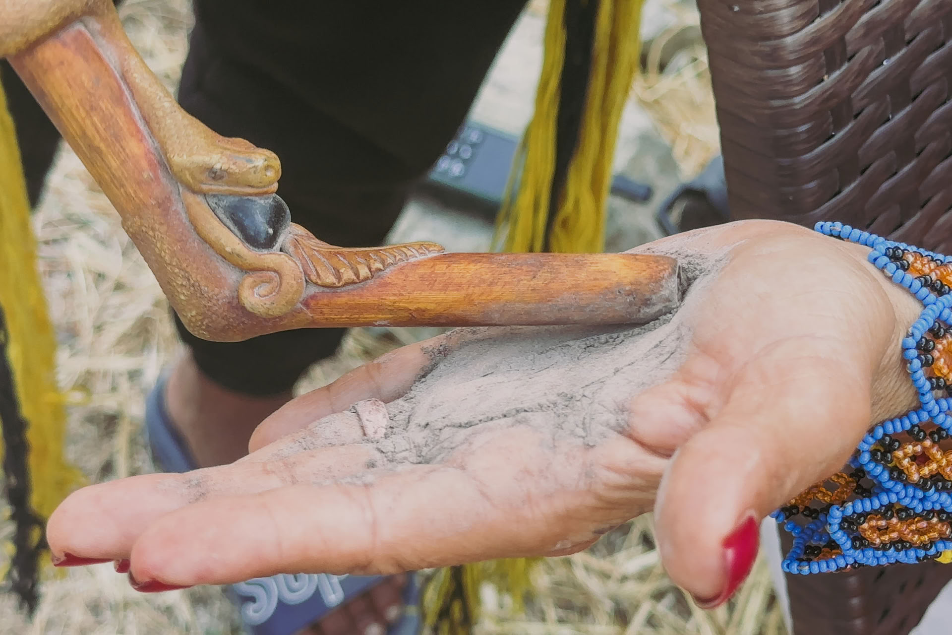 Ceremonias sagradas de la Madre Ayahuasca