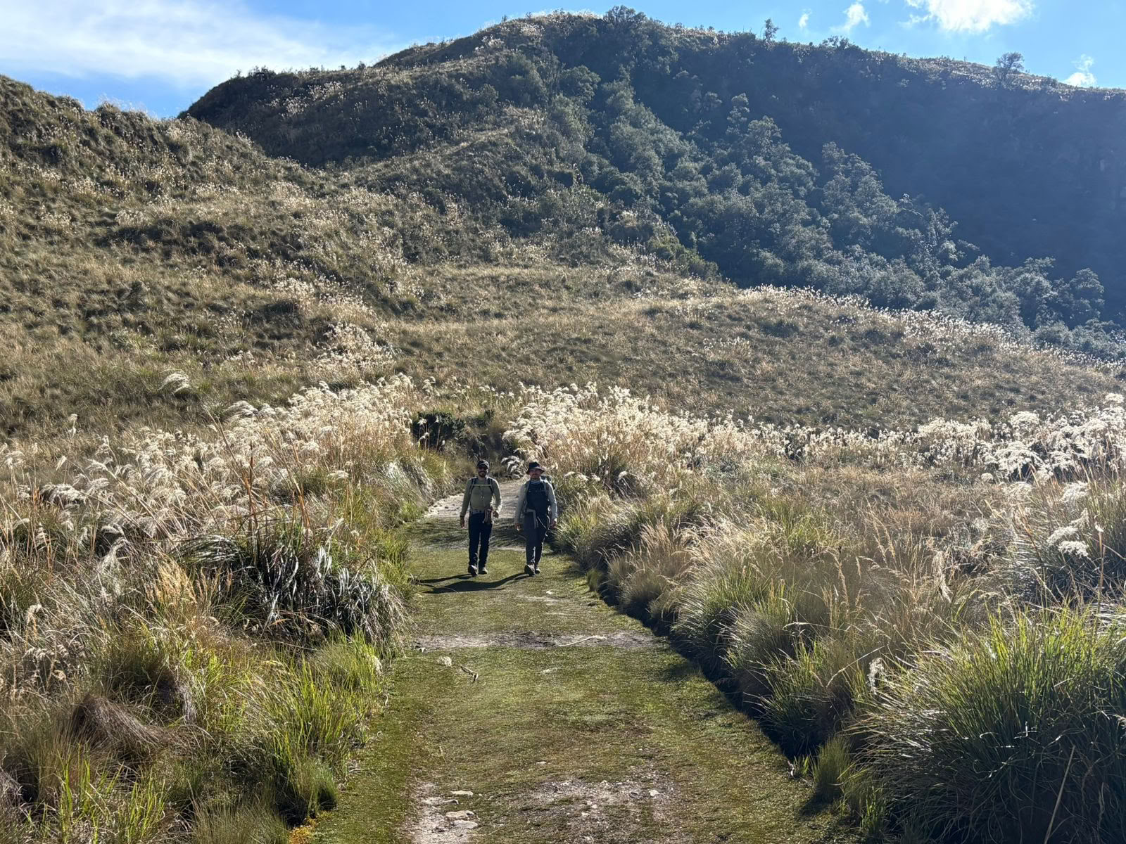 Ayahuasca Retiro · 5 – 12 jul 2026