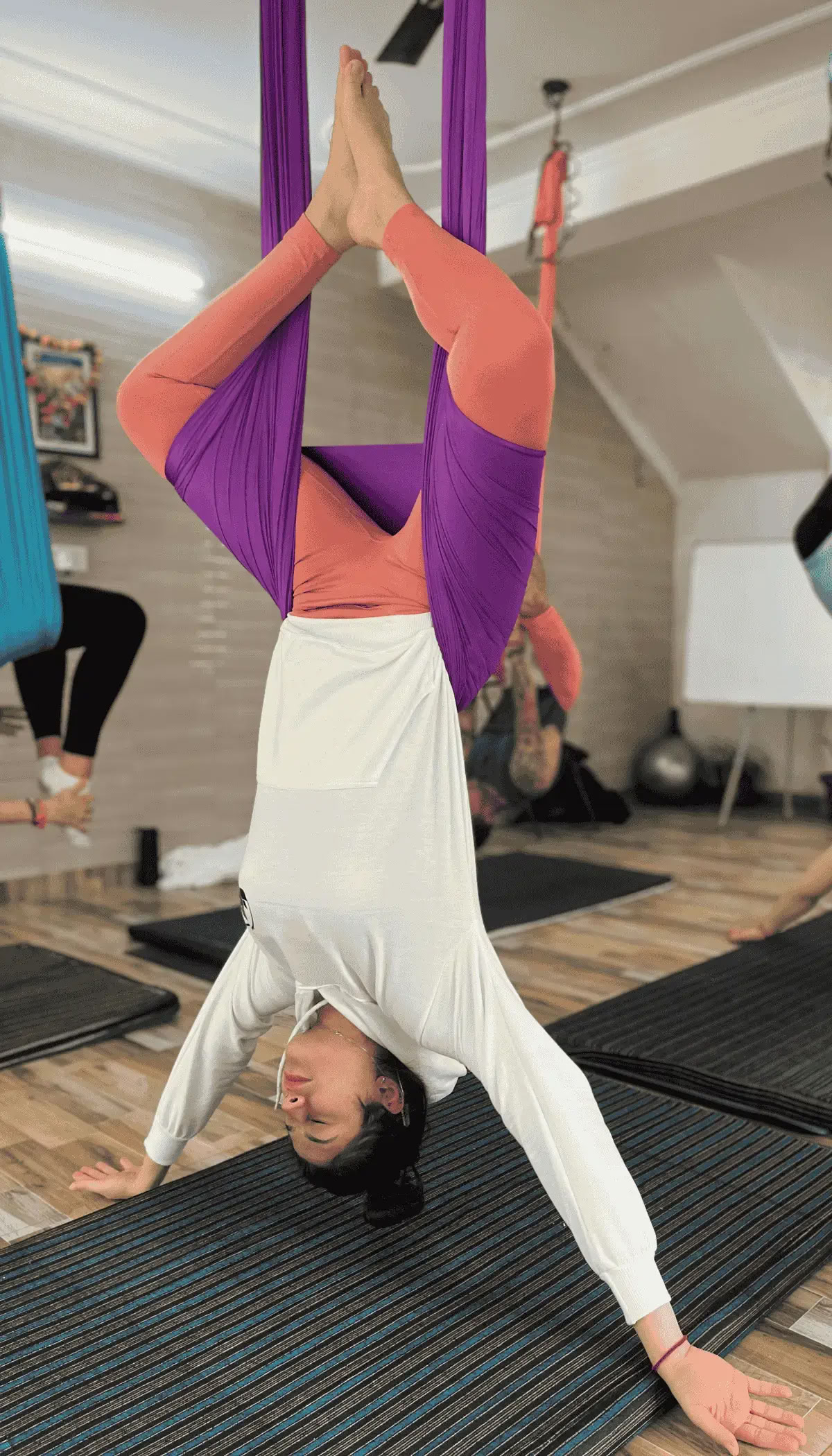 10 Días de Formación de Profesores de Yoga Aéreo en Rishikesh