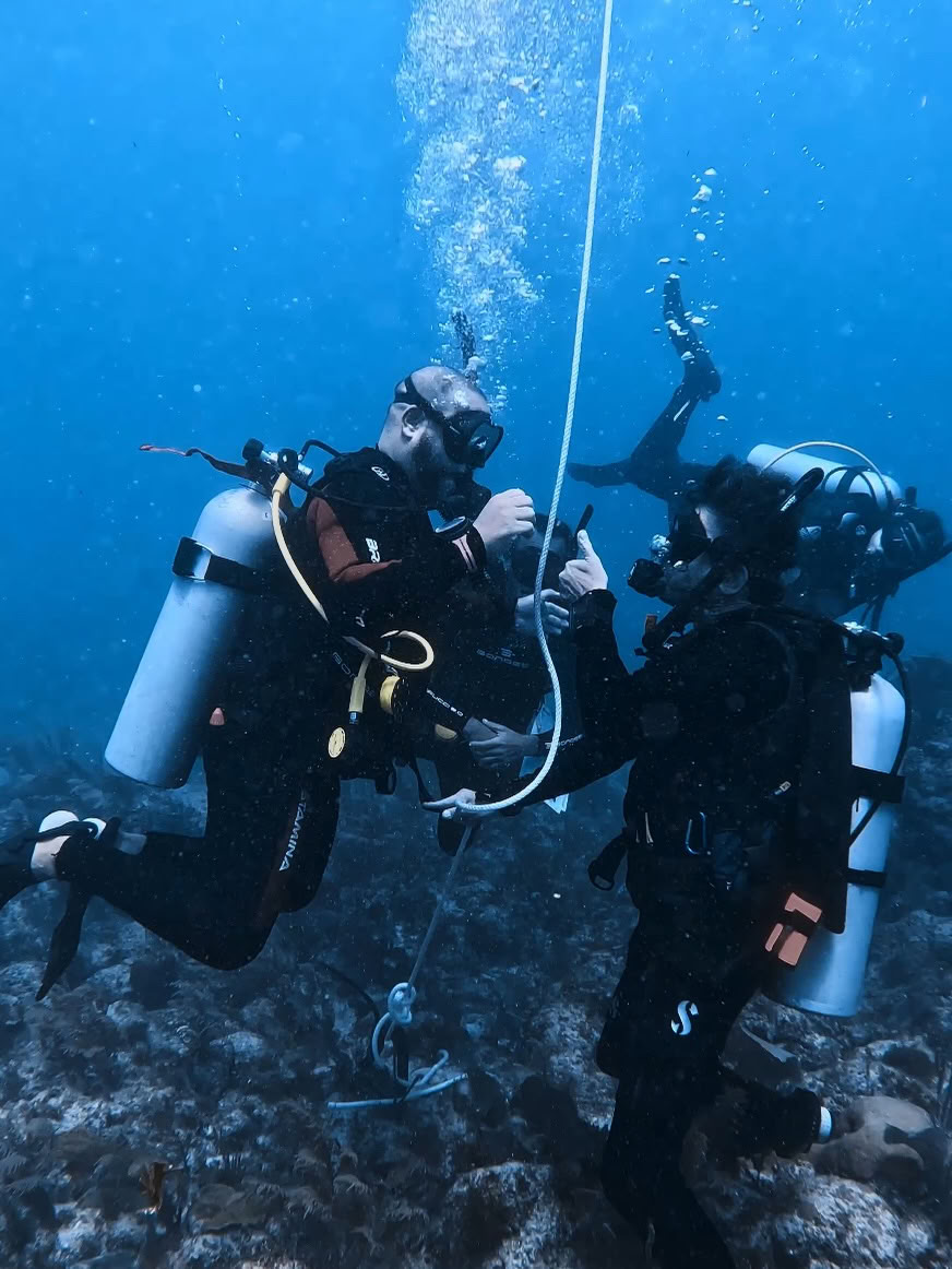 Depth & Discovery: Una expedición de buceo Mahai