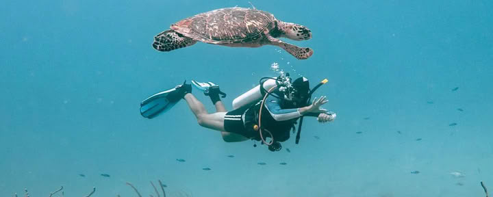 Depth & Discovery: Una expedición de buceo Mahai