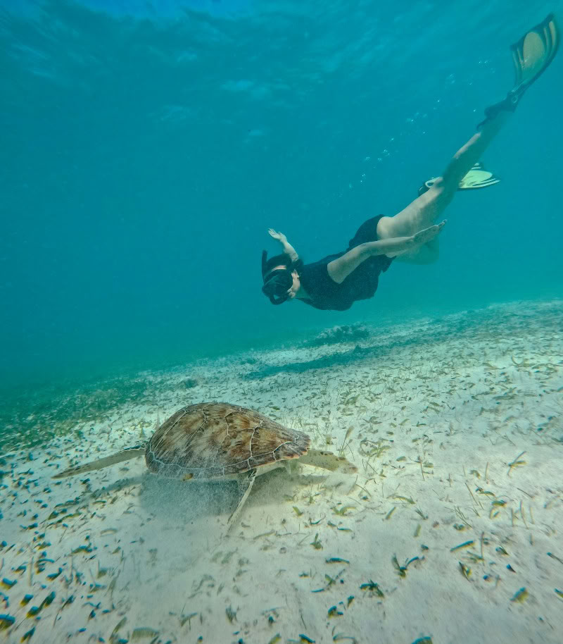 Earthkeepers Retreat: Aprender a vivir en armonía con la Tierra