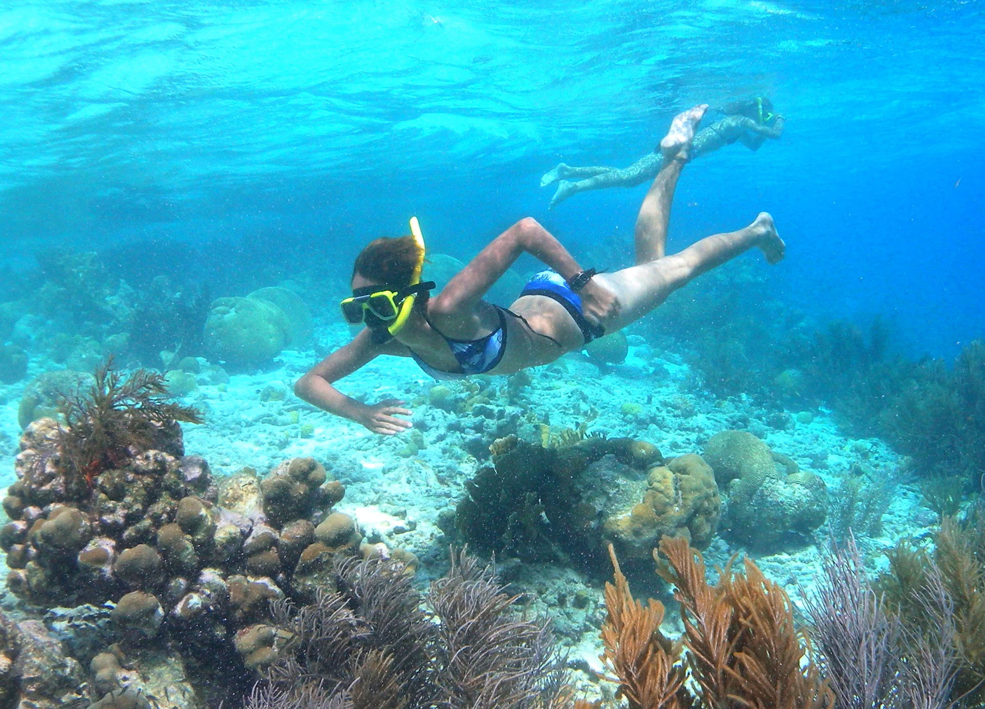 Earthkeepers Retreat: Aprender a vivir en armonía con la Tierra