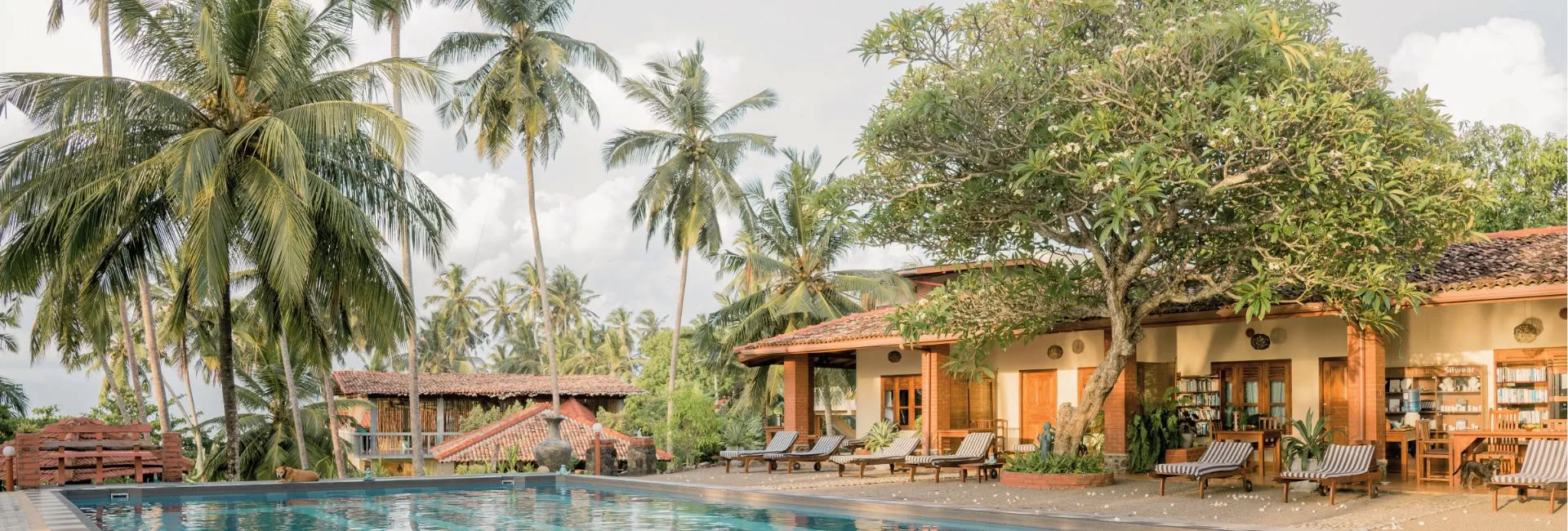 Sri Lanka Retiro – Septiembre 2026