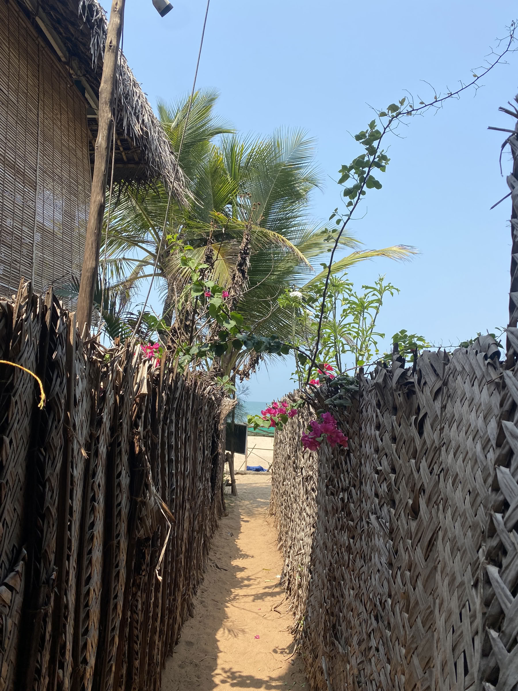 Retiro Organizado por Alchemy
