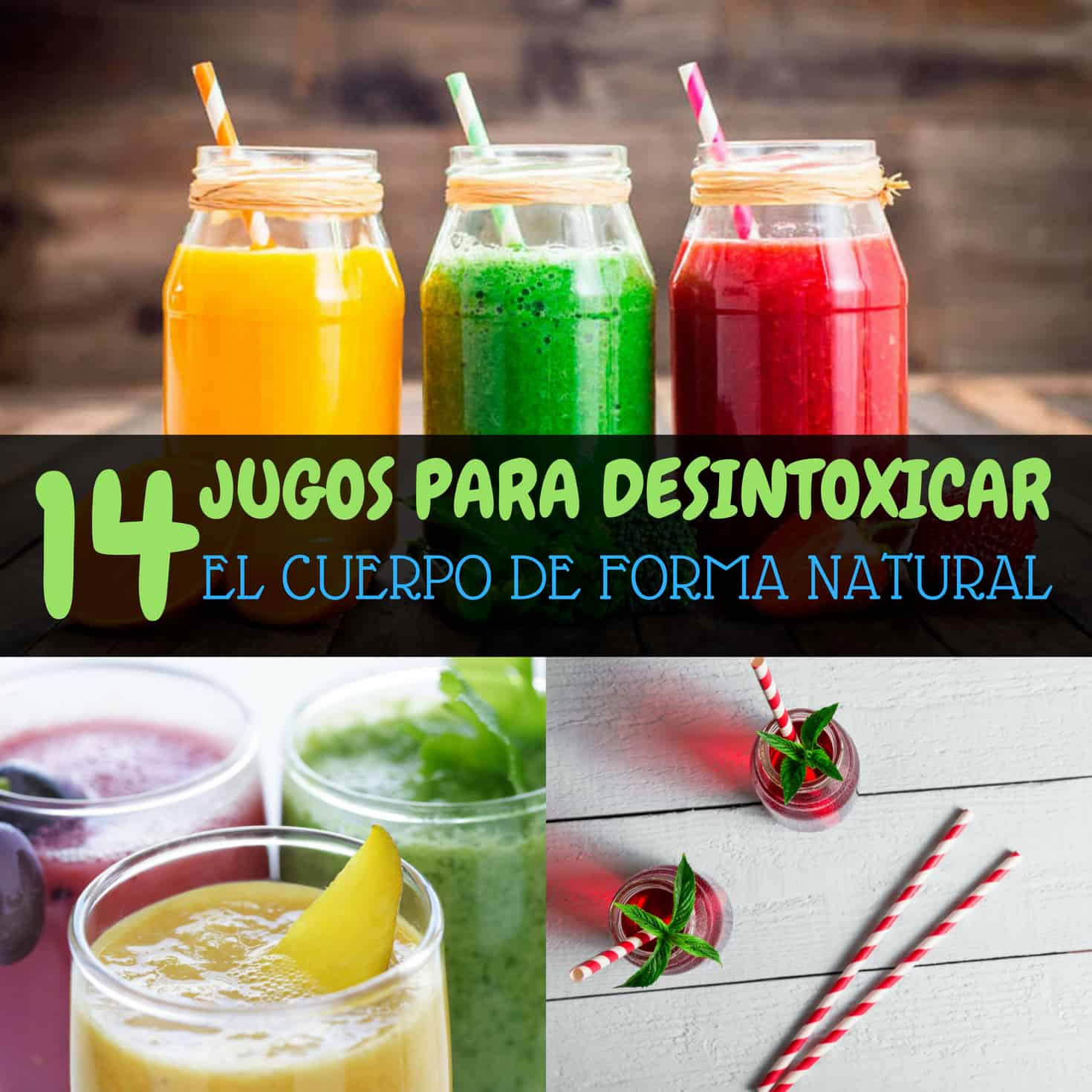 Retiro con uso de Ayahuasca y Medicina tradicional Indigena