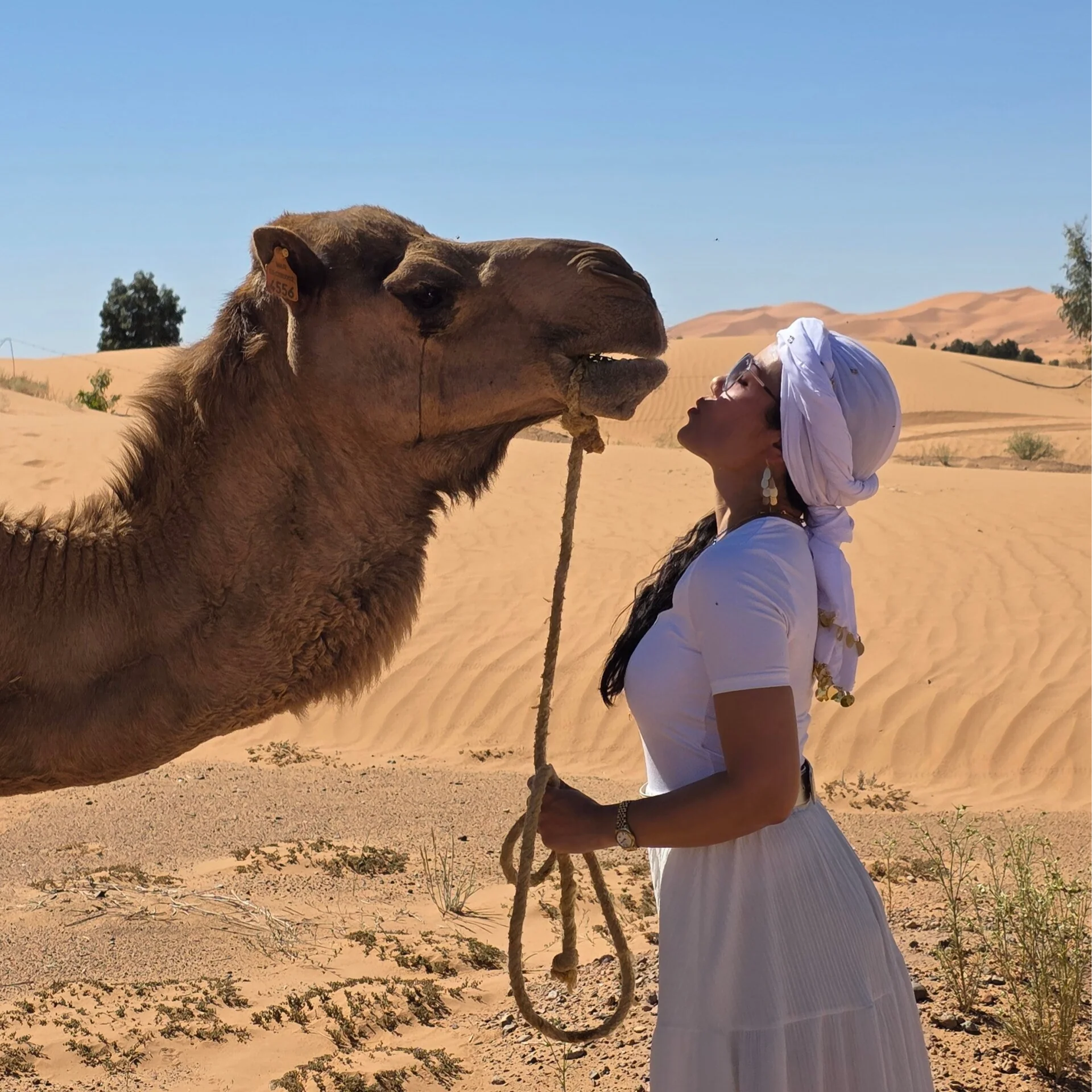 Feminine Fire Retiro Marruecos – Yoga, Danza, Ceremonia de Cacao y Experiencia en el Desierto del Sáhara