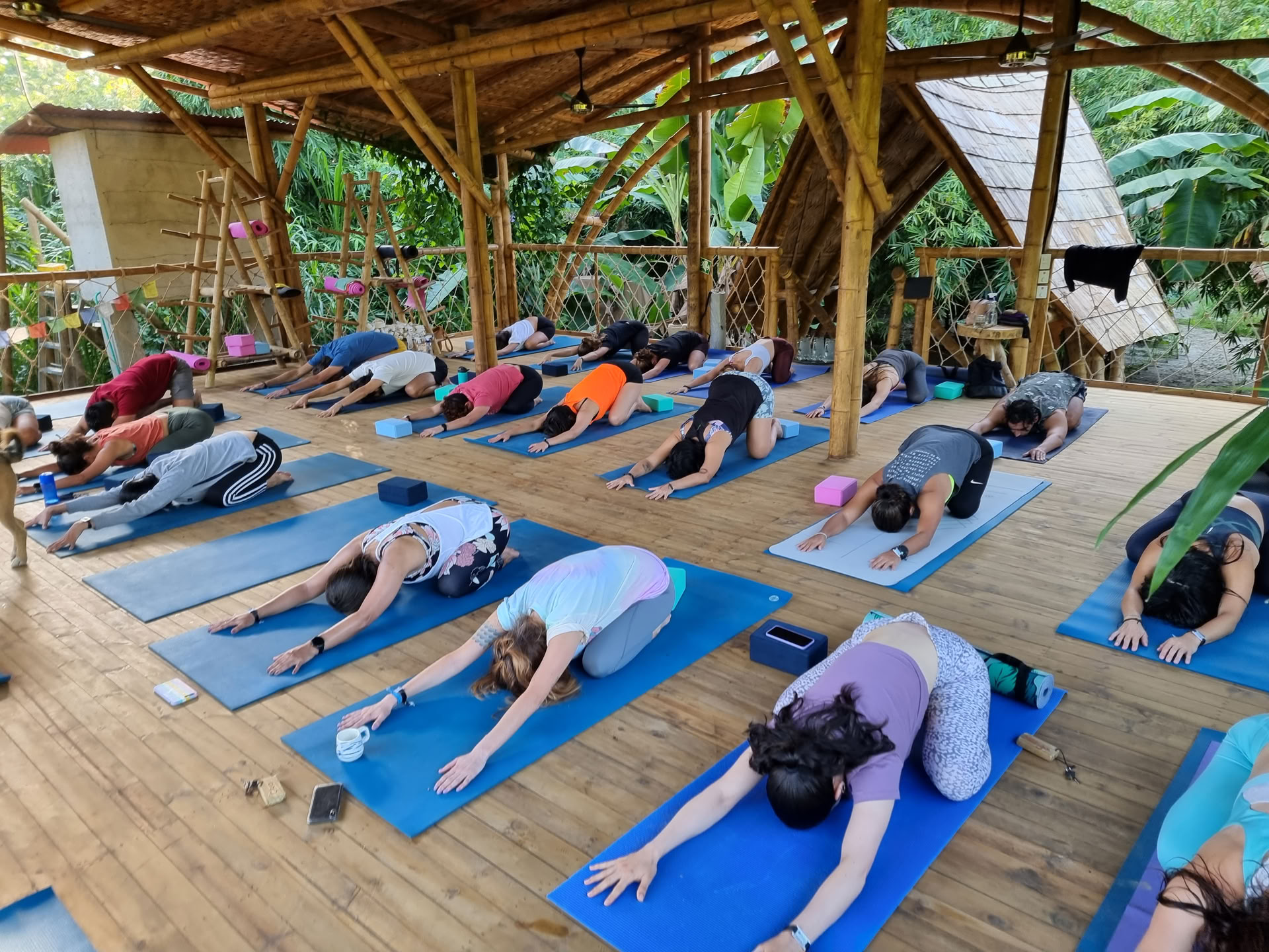 Formación de profesores de yoga 200h