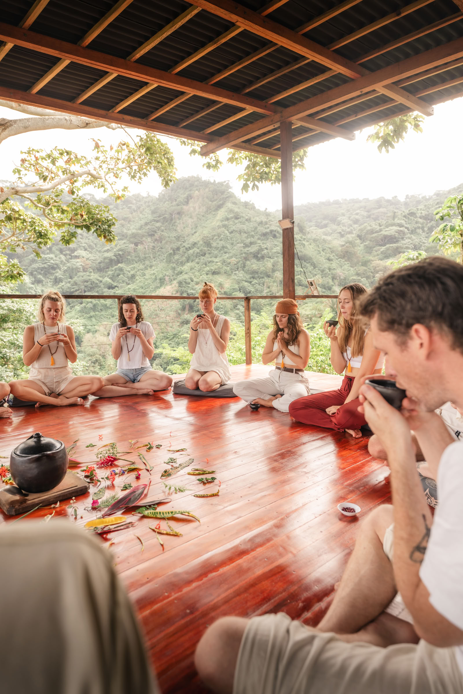 300h Formación Avanzada de Profesores de Yoga