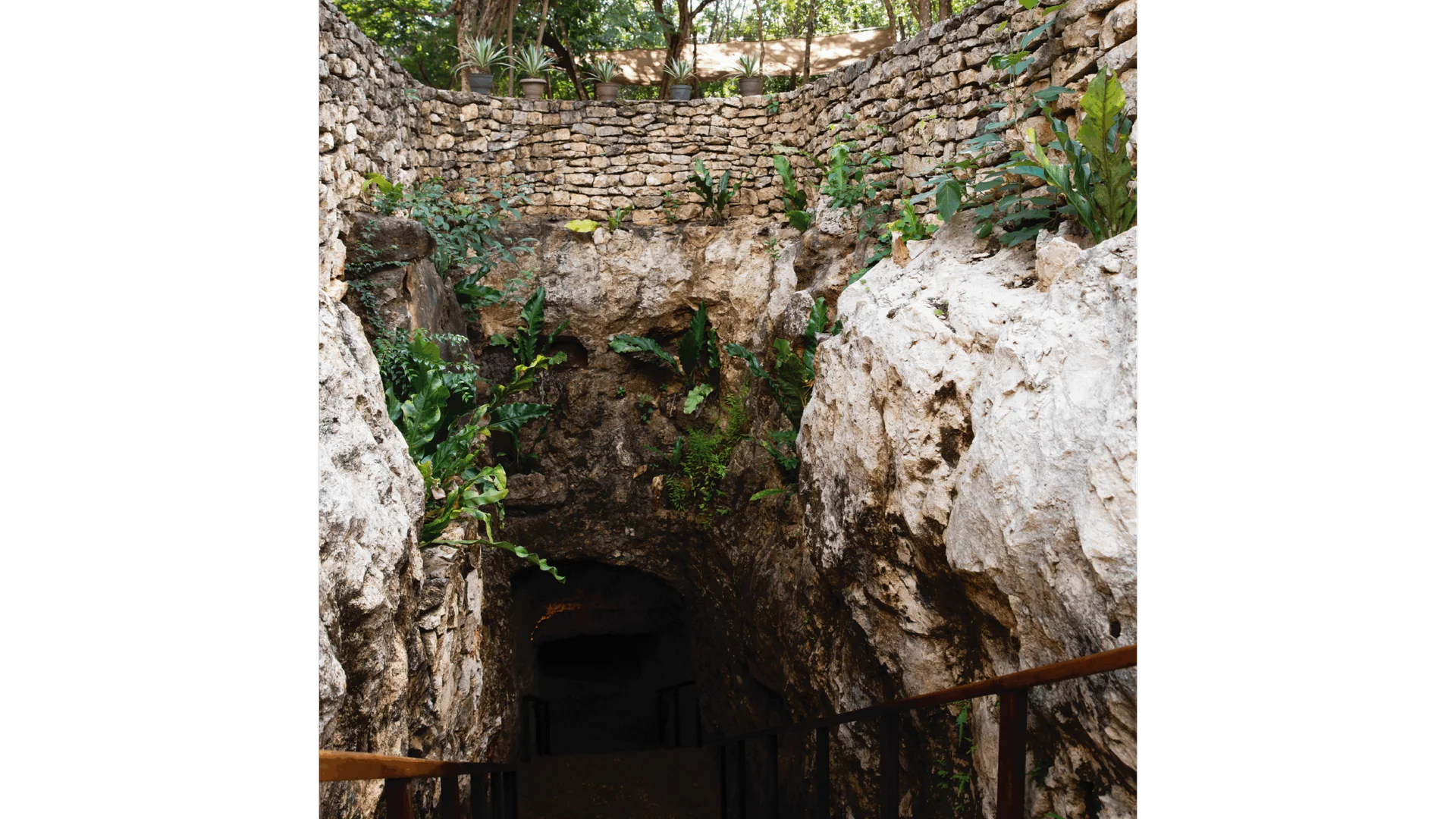 Agua y Fuego – Cenote y Temazcal