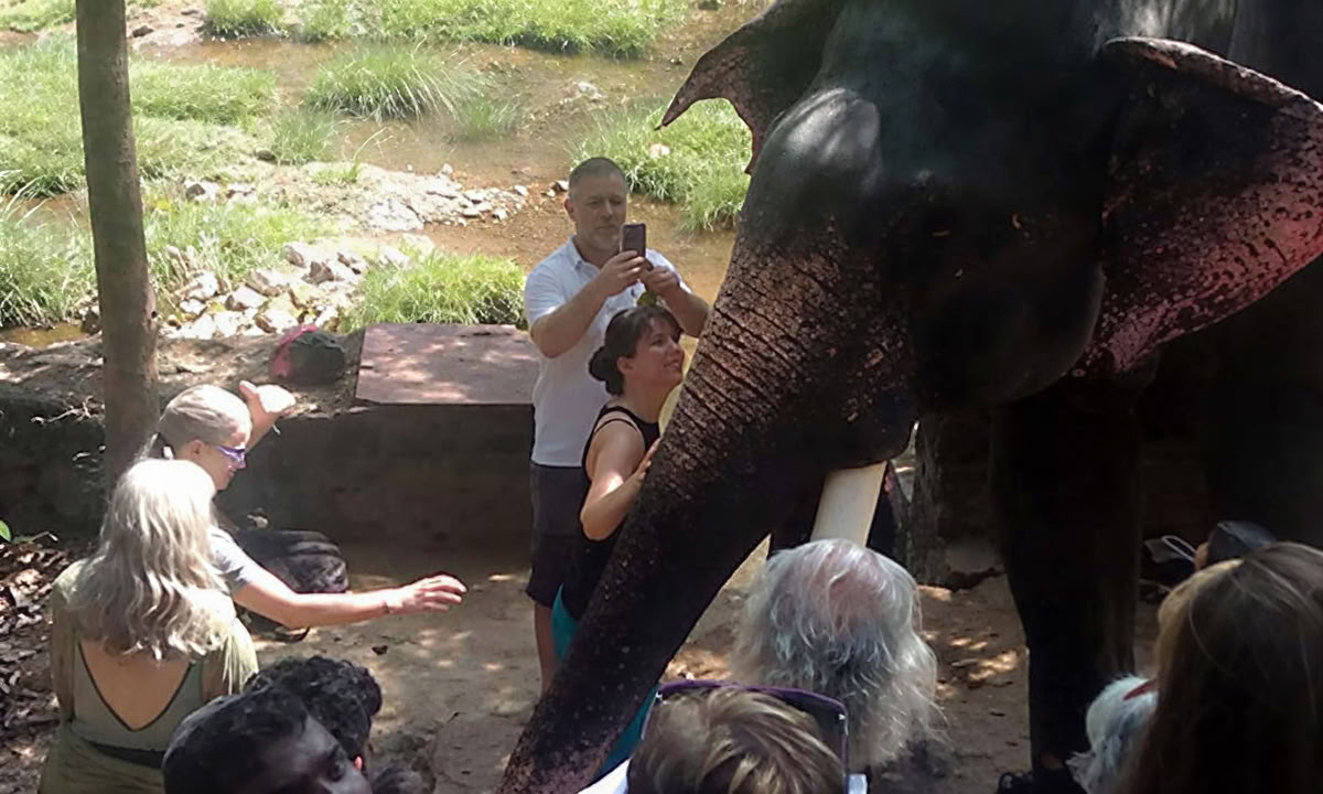 TRATAMIENTO PANCHAKARMA DE 28 DÍAS EN KERALA