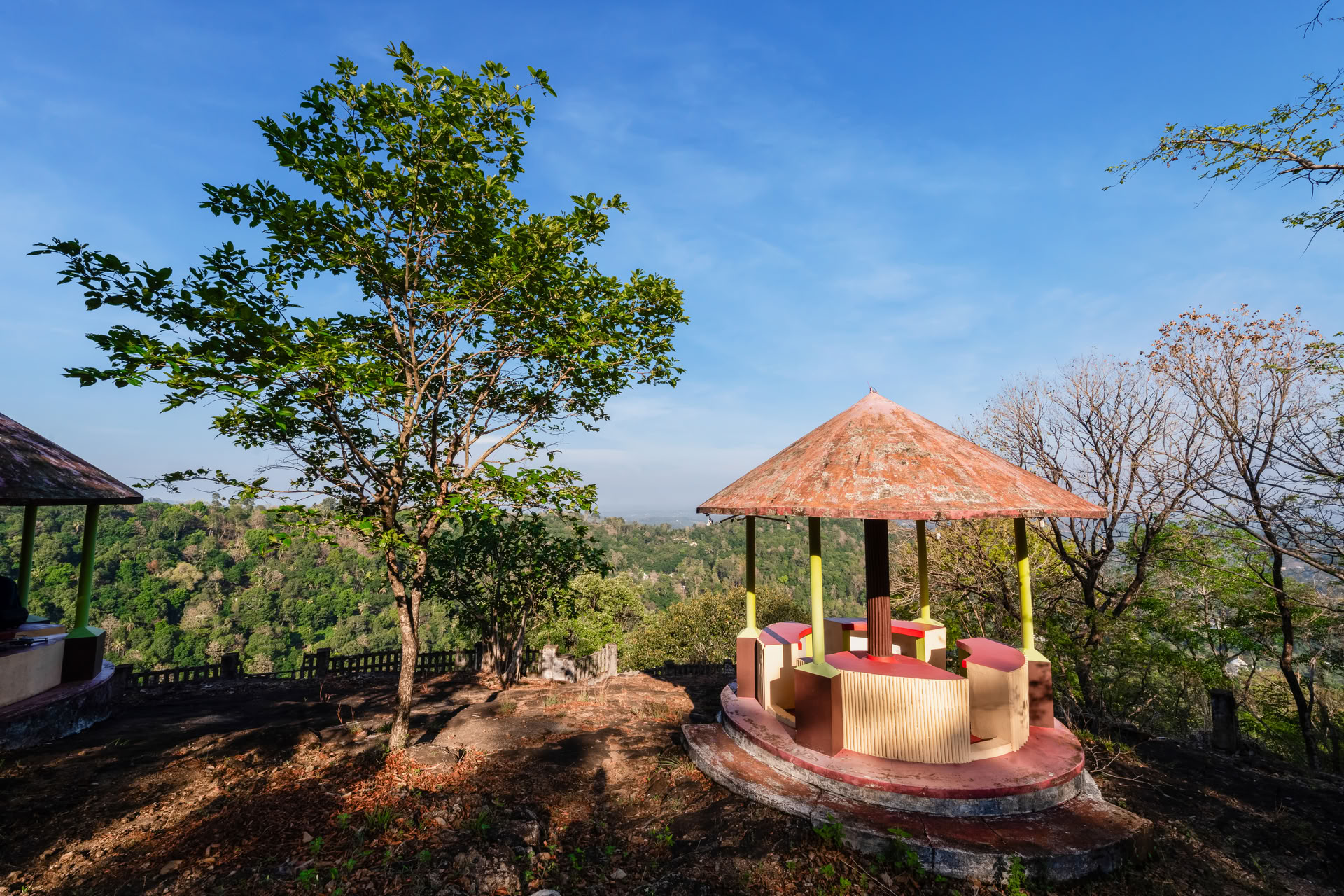 Curso de yoga en Kerala