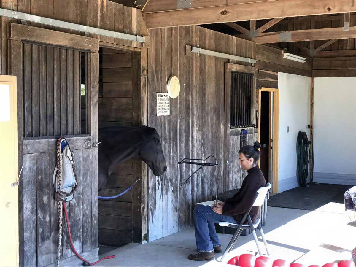 Retiro para participantes recurrentes de 4 días de aprendizaje experiencial de nivel superior para mujeres con caballos