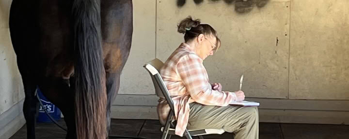 Retiro para participantes recurrentes de 4 días de aprendizaje experiencial de nivel superior para mujeres con caballos