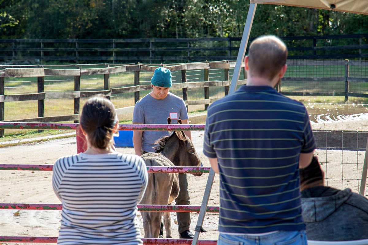 Horse Harmony: Un retiro de 3 días para el equilibrio y el bienestar de las mujeres
