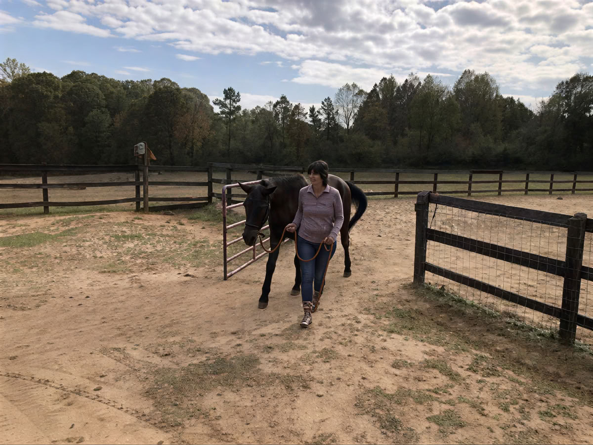 Horse Harmony: Un retiro de 3 días para el equilibrio y el bienestar de las mujeres