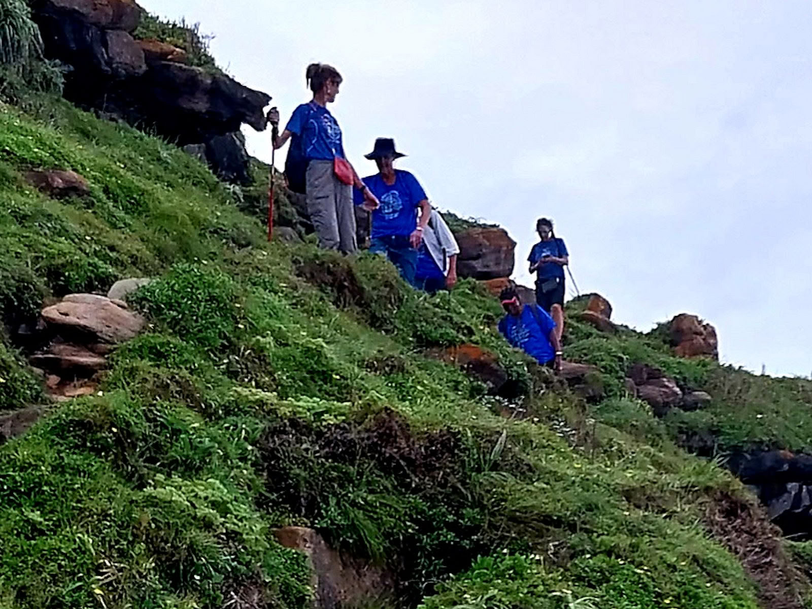 Excursiones y tours a cascadas
