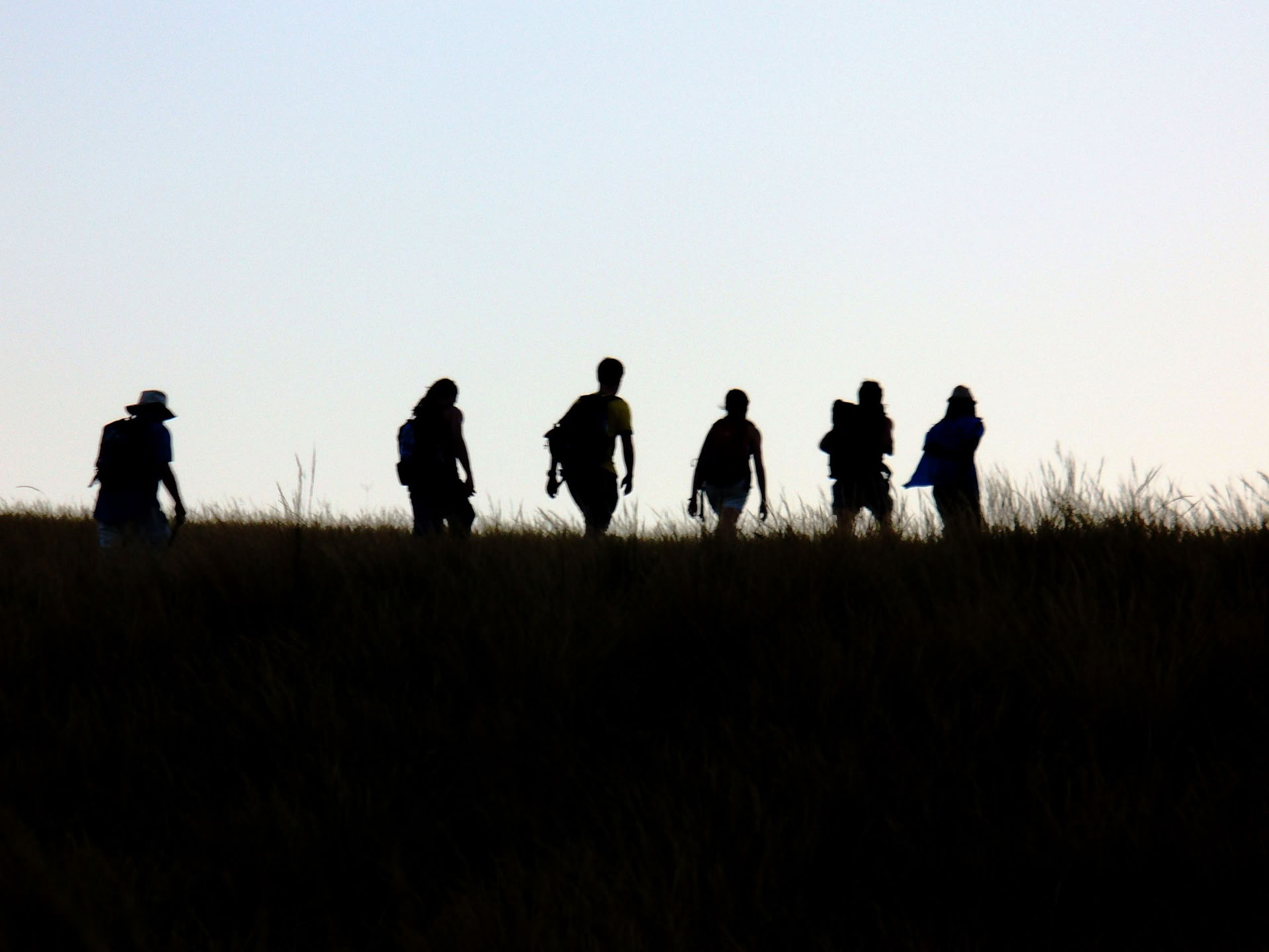 Safari y caminata en Waterfall Bluff